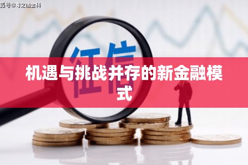 红寺堡机遇与挑战并存的新金融模式