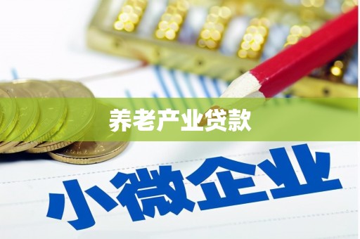 红寺堡养老产业贷款