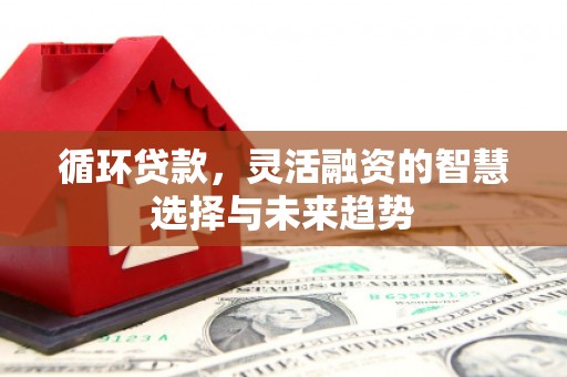 红寺堡循环贷款，灵活融资的智慧选择与未来趋势