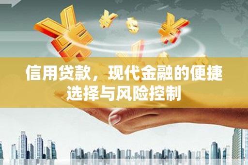 红寺堡信用贷款，现代金融的便捷选择与风险控制
