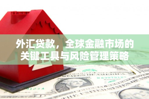 红寺堡外汇贷款，全球金融市场的关键工具与风险管理策略