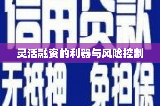 红寺堡灵活融资的利器与风险控制