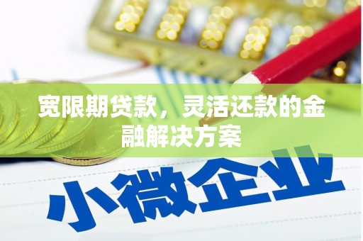 红寺堡宽限期贷款，灵活还款的金融解决方案