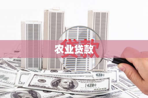 红寺堡农业贷款