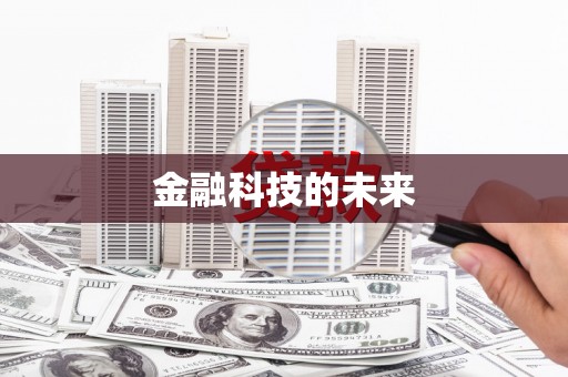 红寺堡金融科技的未来
