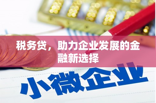 红寺堡税务贷，助力企业发展的金融新选择