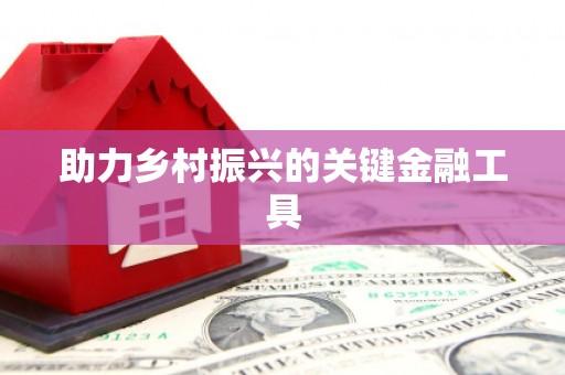 红寺堡助力乡村振兴的关键金融工具