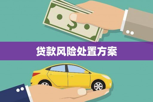 红寺堡贷款风险处置方案