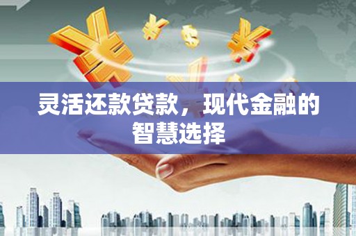 红寺堡灵活还款贷款，现代金融的智慧选择