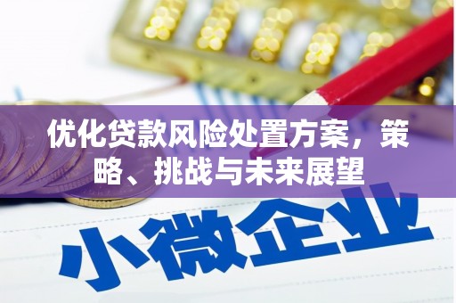 红寺堡优化贷款风险处置方案，策略、挑战与未来展望