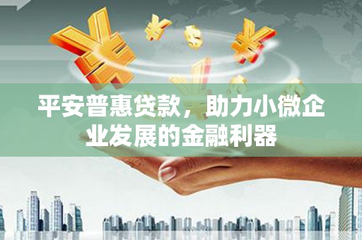 红寺堡平安普惠贷款，助力小微企业发展的金融利器