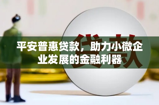红寺堡平安普惠贷款，助力小微企业发展的金融利器