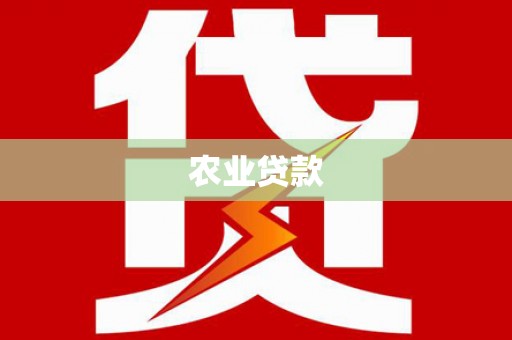 红寺堡农业贷款