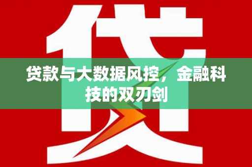 红寺堡贷款与大数据风控，金融科技的双刃剑