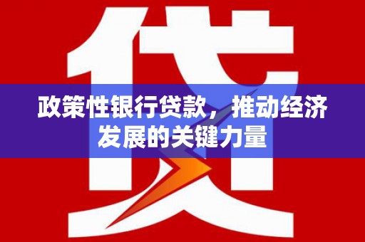 红寺堡政策性银行贷款，推动经济发展的关键力量