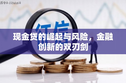 红寺堡现金贷的崛起与风险，金融创新的双刃剑
