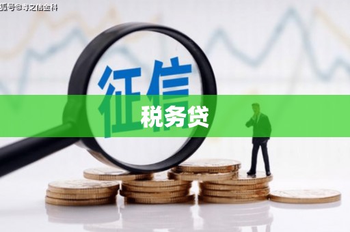 红寺堡税务贷