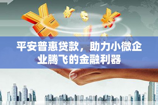 红寺堡平安普惠贷款，助力小微企业腾飞的金融利器