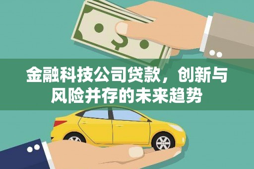 红寺堡金融科技公司贷款，创新与风险并存的未来趋势