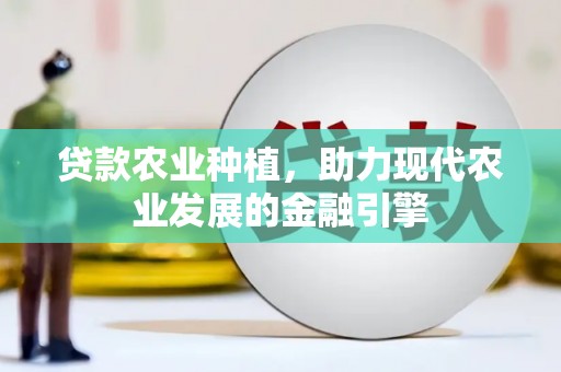 红寺堡贷款农业种植，助力现代农业发展的金融引擎