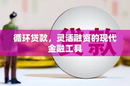 红寺堡循环贷款，灵活融资的现代金融工具