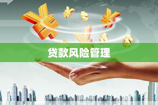 红寺堡贷款风险管理