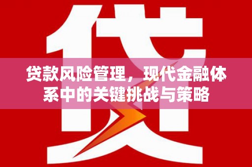 红寺堡贷款风险管理，现代金融体系中的关键挑战与策略
