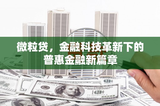 红寺堡微粒贷，金融科技革新下的普惠金融新篇章