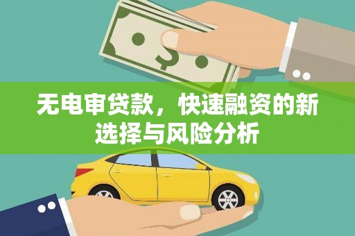 红寺堡无电审贷款，快速融资的新选择与风险分析