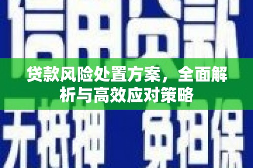 红寺堡贷款风险处置方案，全面解析与高效应对策略