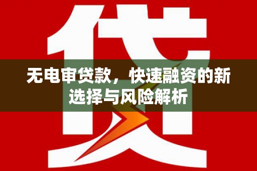 红寺堡无电审贷款，快速融资的新选择与风险解析