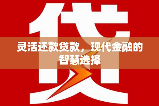 红寺堡灵活还款贷款，现代金融的智慧选择