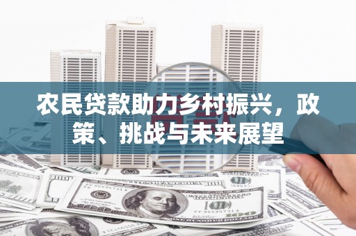 红寺堡农民贷款助力乡村振兴，政策、挑战与未来展望