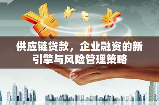 红寺堡供应链贷款，企业融资的新引擎与风险管理策略