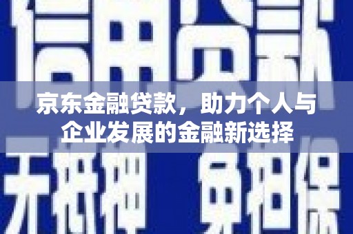 红寺堡京东金融贷款，助力个人与企业发展的金融新选择