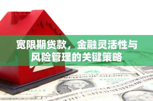 红寺堡宽限期贷款，金融灵活性与风险管理的关键策略
