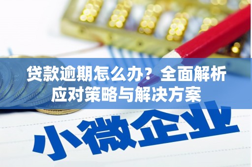 红寺堡贷款逾期怎么办？全面解析应对策略与解决方案