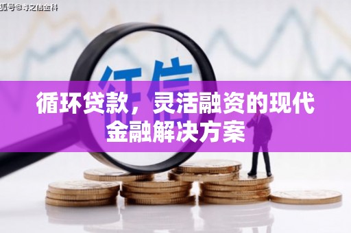 红寺堡循环贷款，灵活融资的现代金融解决方案