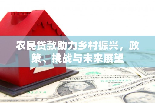 红寺堡农民贷款助力乡村振兴，政策、挑战与未来展望