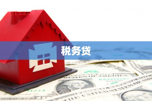 红寺堡税务贷