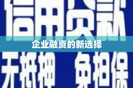 红寺堡企业融资的新选择