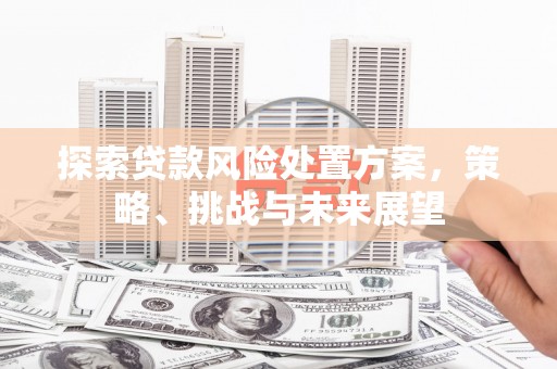红寺堡探索贷款风险处置方案，策略、挑战与未来展望