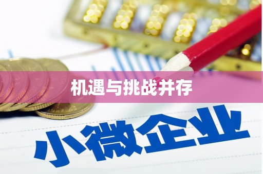 红寺堡机遇与挑战并存