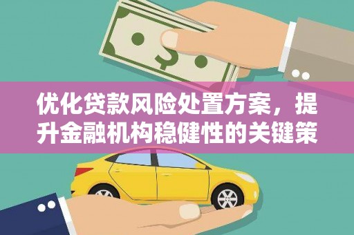 红寺堡优化贷款风险处置方案，提升金融机构稳健性的关键策略