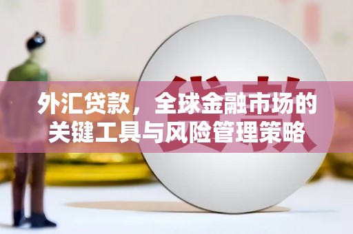 红寺堡外汇贷款，全球金融市场的关键工具与风险管理策略