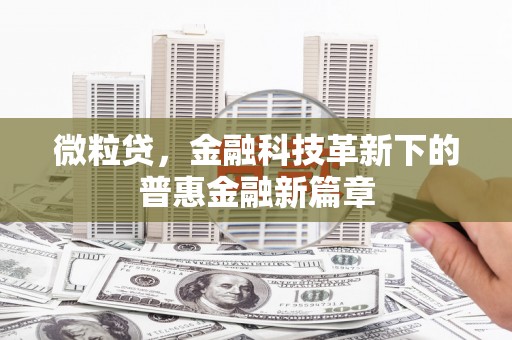 红寺堡微粒贷，金融科技革新下的普惠金融新篇章