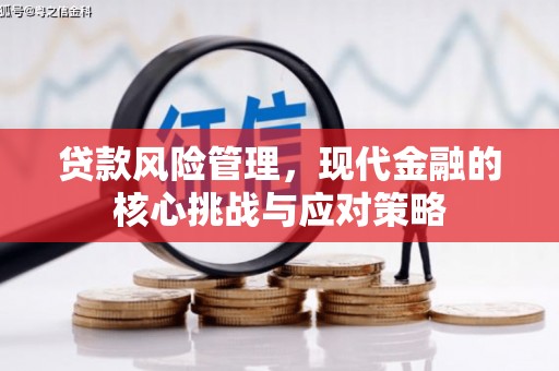 红寺堡贷款风险管理，现代金融的核心挑战与应对策略