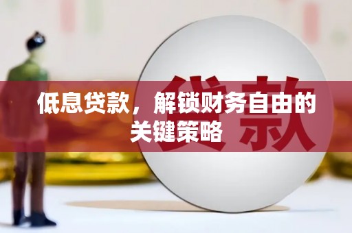 红寺堡低息贷款，解锁财务自由的关键策略