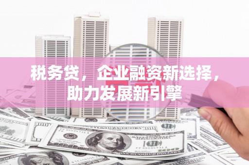 红寺堡税务贷，企业融资新选择，助力发展新引擎