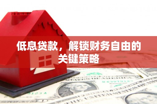 红寺堡低息贷款，解锁财务自由的关键策略